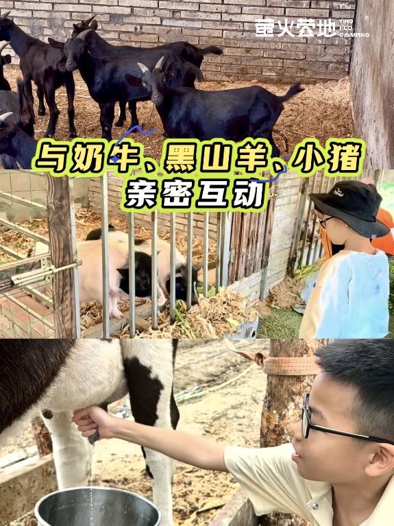 萌宠园