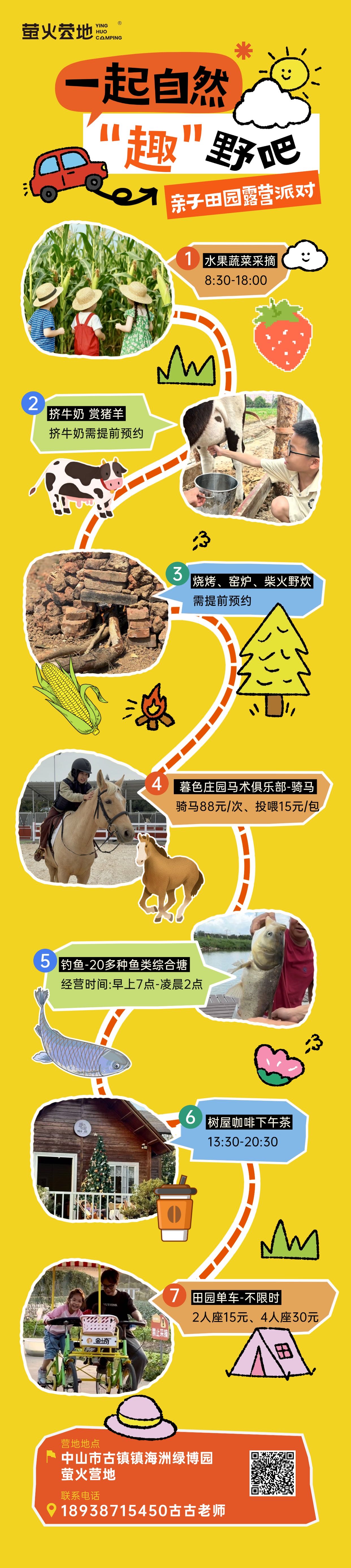 项目路线图