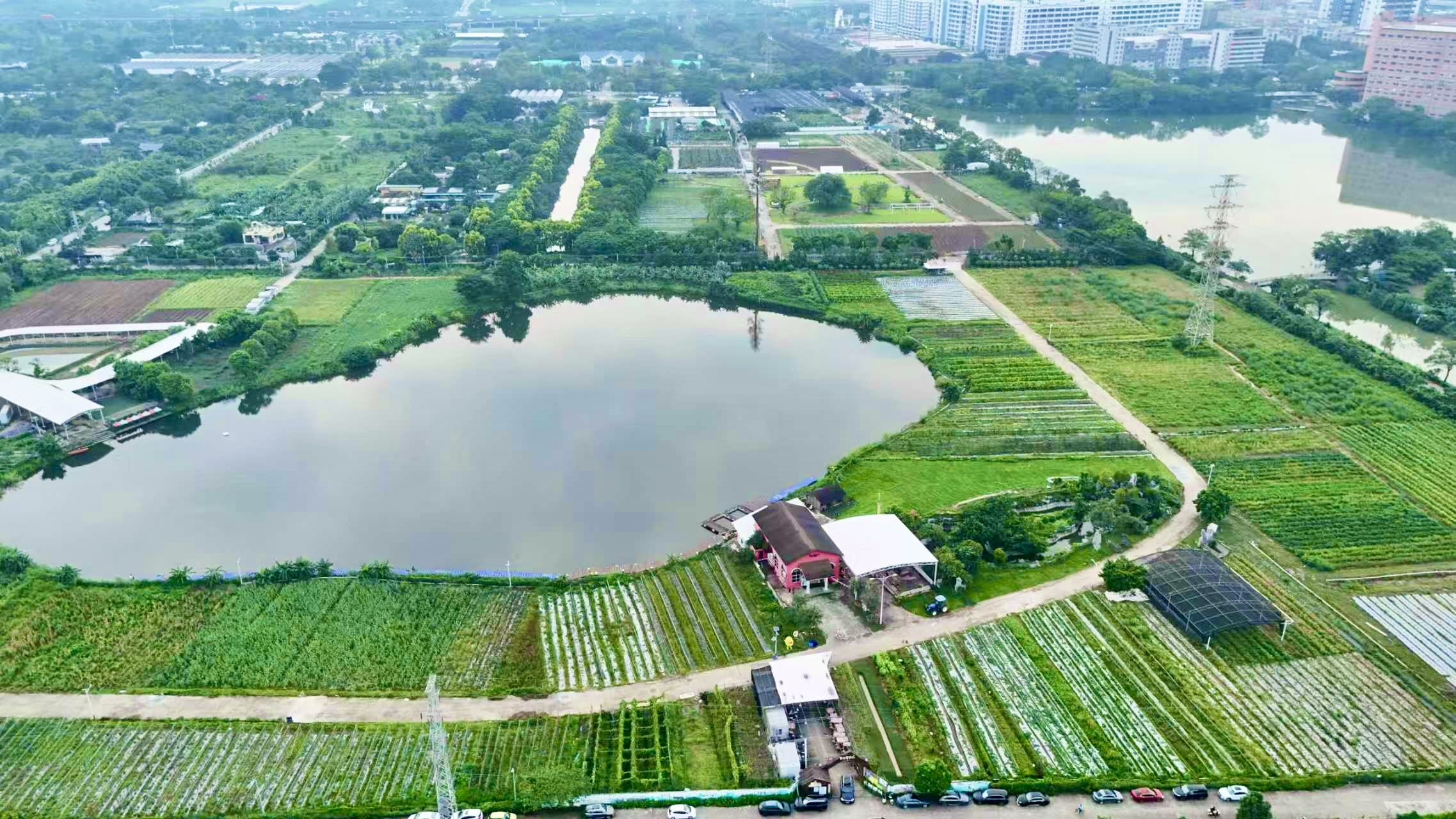 萤火营地全景