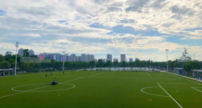 湿地足球场